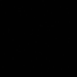 Meet your Posher, Javon